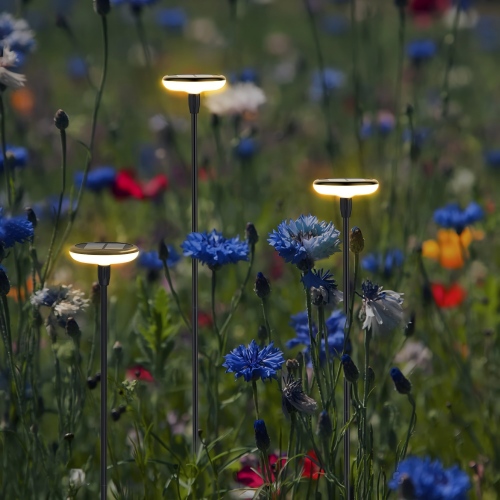 Solar Garden Lights 101: The Ultimate Buying Guide for 2026
